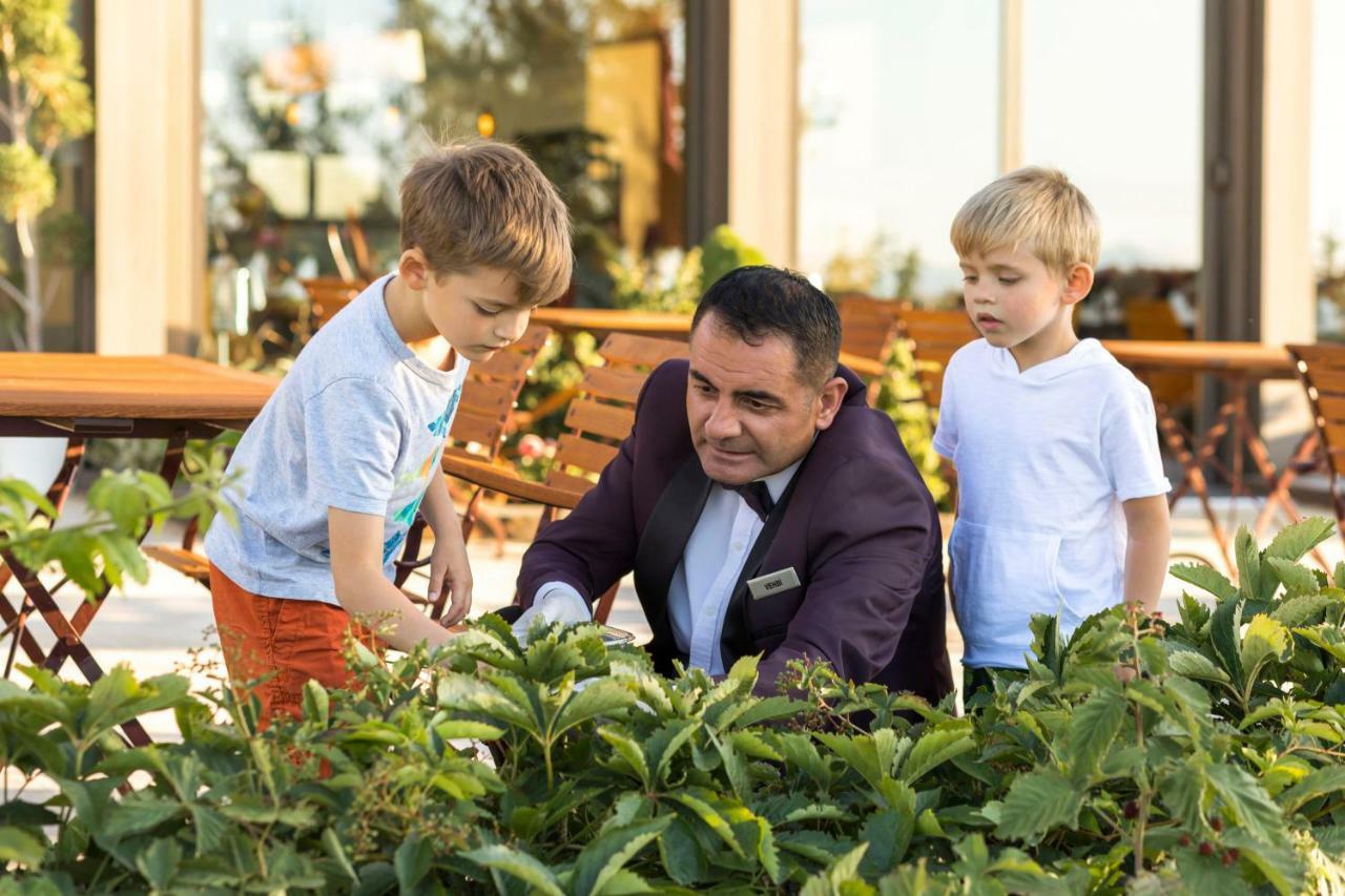 Ariana Sustainable Luxury Lodge - Special Category - Cappadocia Üçhisar Kültér fotó