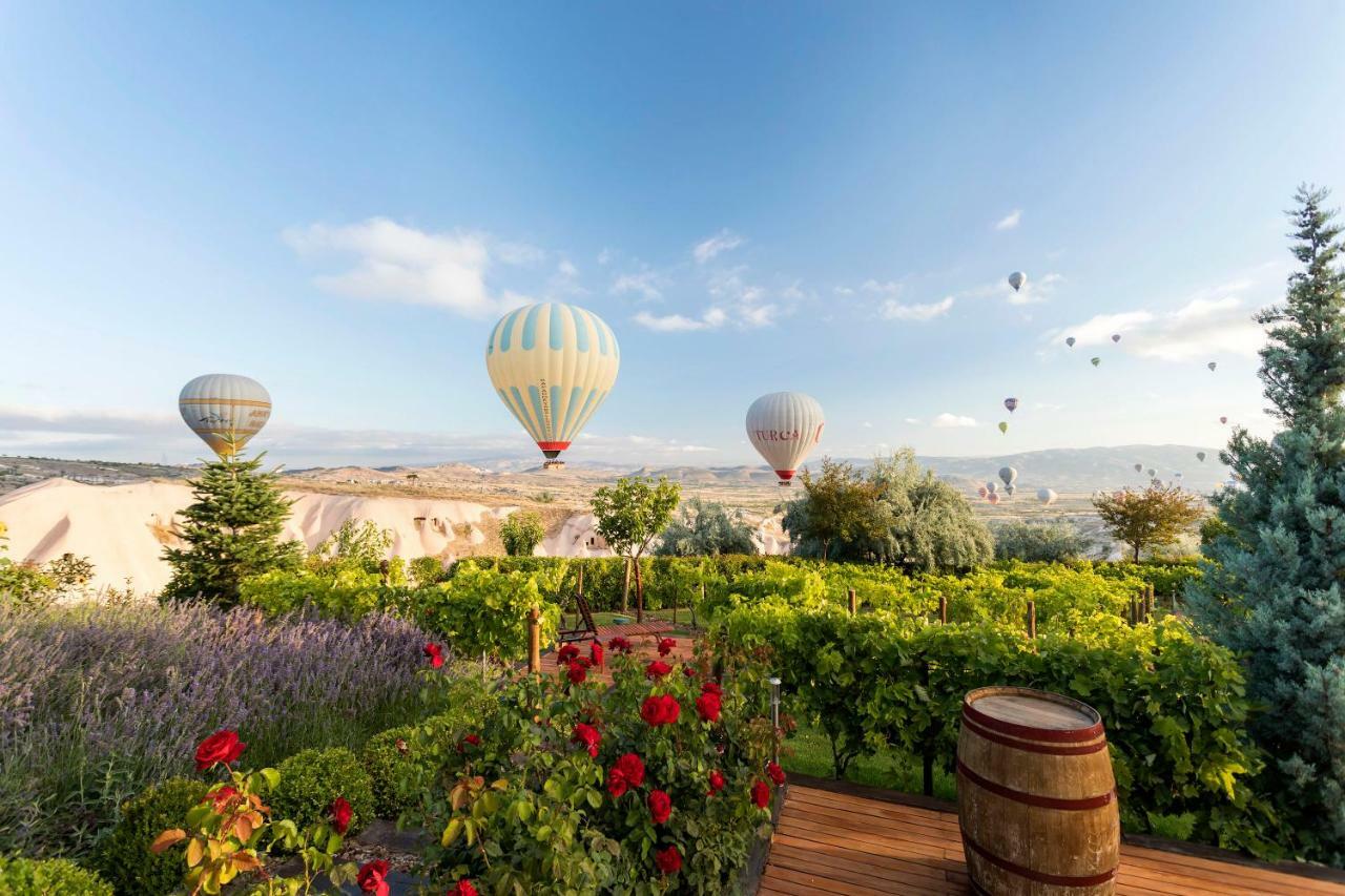 Ariana Sustainable Luxury Lodge - Special Category - Cappadocia Üçhisar Kültér fotó