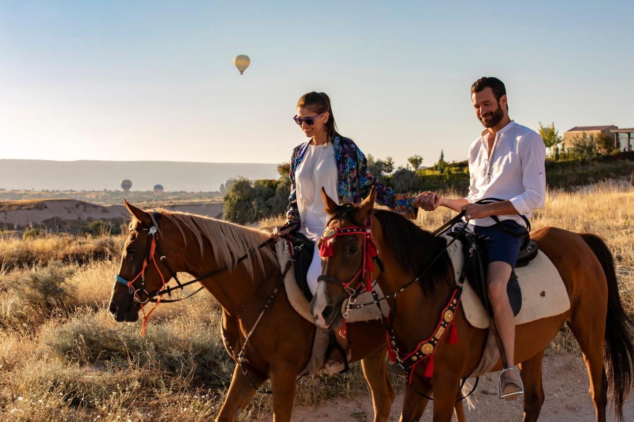 Ariana Sustainable Luxury Lodge - Special Category - Cappadocia Üçhisar Kültér fotó
